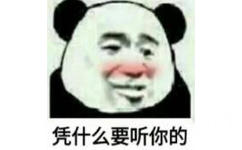 凭什么要听你的