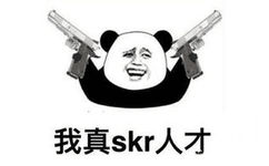 减会我真skr人才