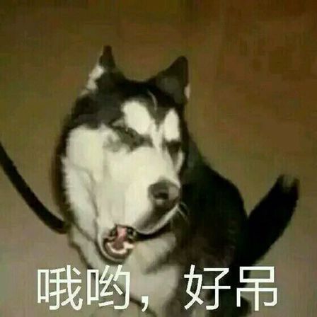 哦哟，好吊