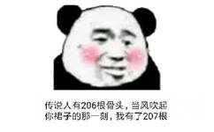 传说人有206根骨头，当风吹起你裙子的那一刻；我有了207根