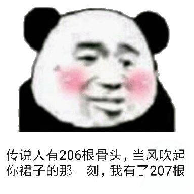 传说人有206根骨头，当风吹起你裙子的那一刻；我有了207根