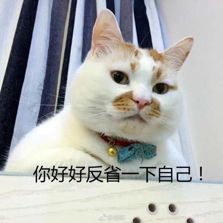 你好好反省一下自己