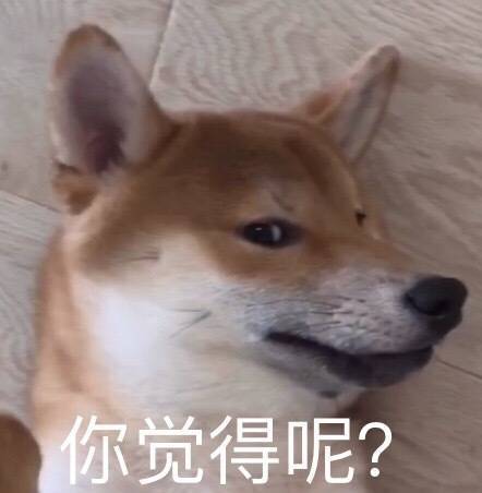 你觉得呢？