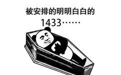 被安排的明明白白的1433