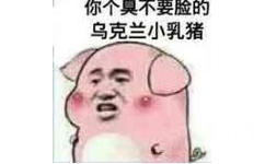 你个臭不要险的乌克兰小乳猪