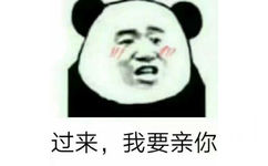 过来，我要亲你