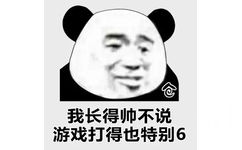 我长得帅不说，游戏打得也特别６