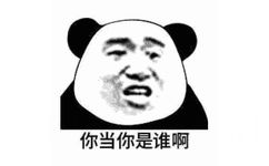 你当你是谁啊