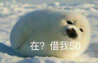 在？借我50