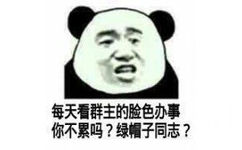 每天看群主的险色办事你不累吗？绿帽子同志？