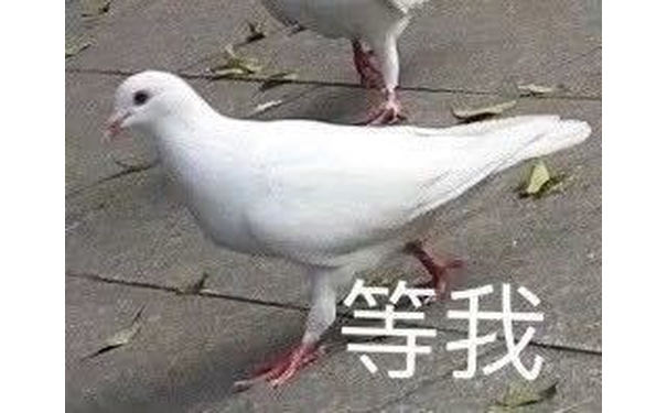 等我