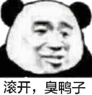 滚开，臭鸭子