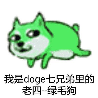 我是doge七兄弟里的老四…绿毛狗