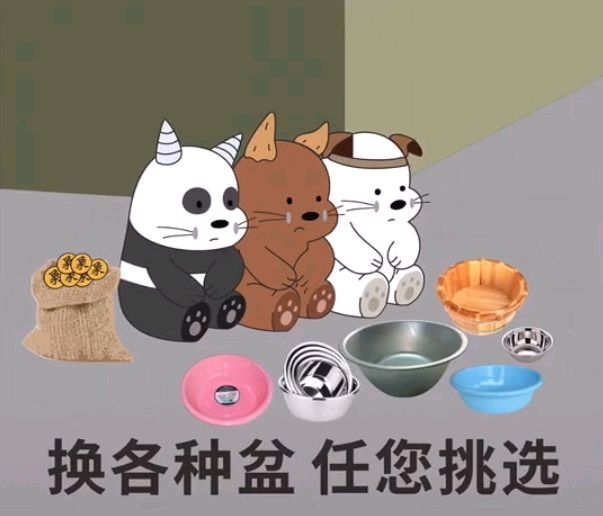 换各种盆任您挑选