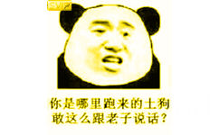 你是哪里跑来的土狗，敢这么跟老子说话？