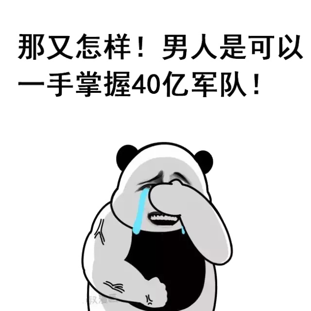 那又怎样！男人是可以手掌握40亿军队！