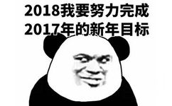 2018我要努力完成，2017年的新年目标