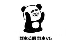 群主英明群主V5