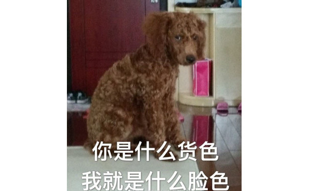 你是什么货色，我就是什么脸色