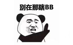 别在那瞎BB