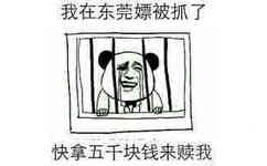 我在东莞嫖被抓了，快拿五千块钱来赎我