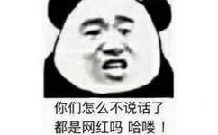 你们怎么不说话了，都是网红吗哈喽！