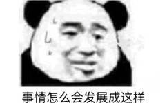 事情怎么会发展成这样