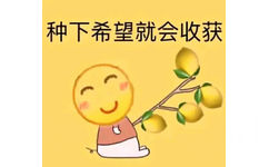 种下希望就会收获