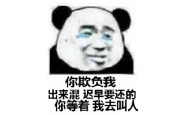 你欺负我，出来混迟早要还的你等着我去叫大