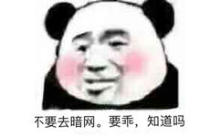 不要去暗网，要乖知道吗？