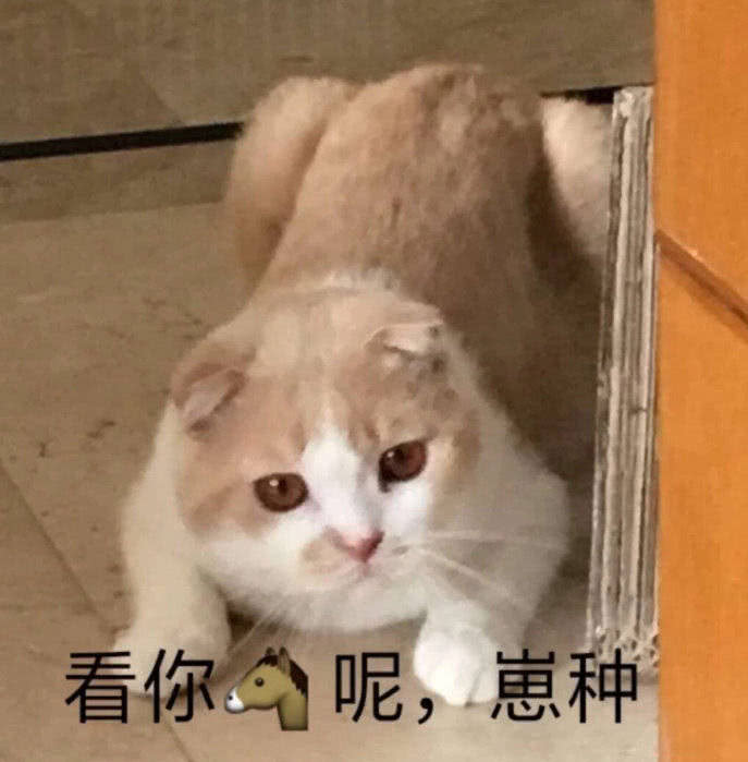 看你∽呢，崽种