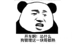 开车啊！怂什么，狗管理这一块哥都熟