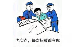 老实点，每次扫黄都有你