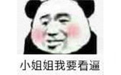 小姐姐我要看逼