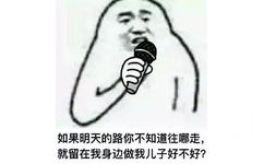 如果明天的路你不知道往哪走，就留在我身边做我儿子好不好？