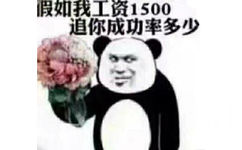 假如我工资1500，追你成功率多少