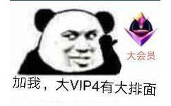 加我，大VIP4有大排面（大会员）