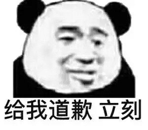 给我道歉立刻