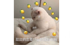 甜甜的恋爱，什么时候轮到我