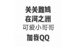 关关雎鸠，在河之洲，可爱小哥哥，加我QQ