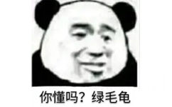 你懂吗？绿毛龟