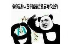 像你这种人，在中国是要抓去写作业的