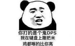 你打的是个鬼DPS，我在键盘上撒把米鸡都啄的比你高