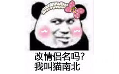 改情侣名吗？我叫猫南北