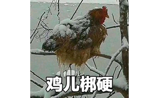 鸡优硬