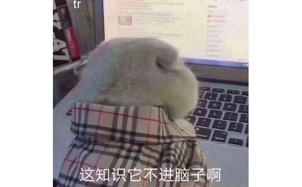 这知识它不进脑子啊