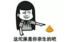 这坨屎是你亲生的吧