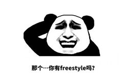 那个…你有 freestyle吗？