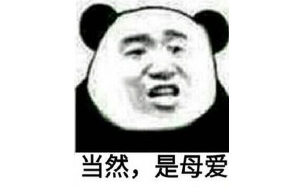 当然，是母爱