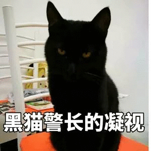 黑猫警长的凝视